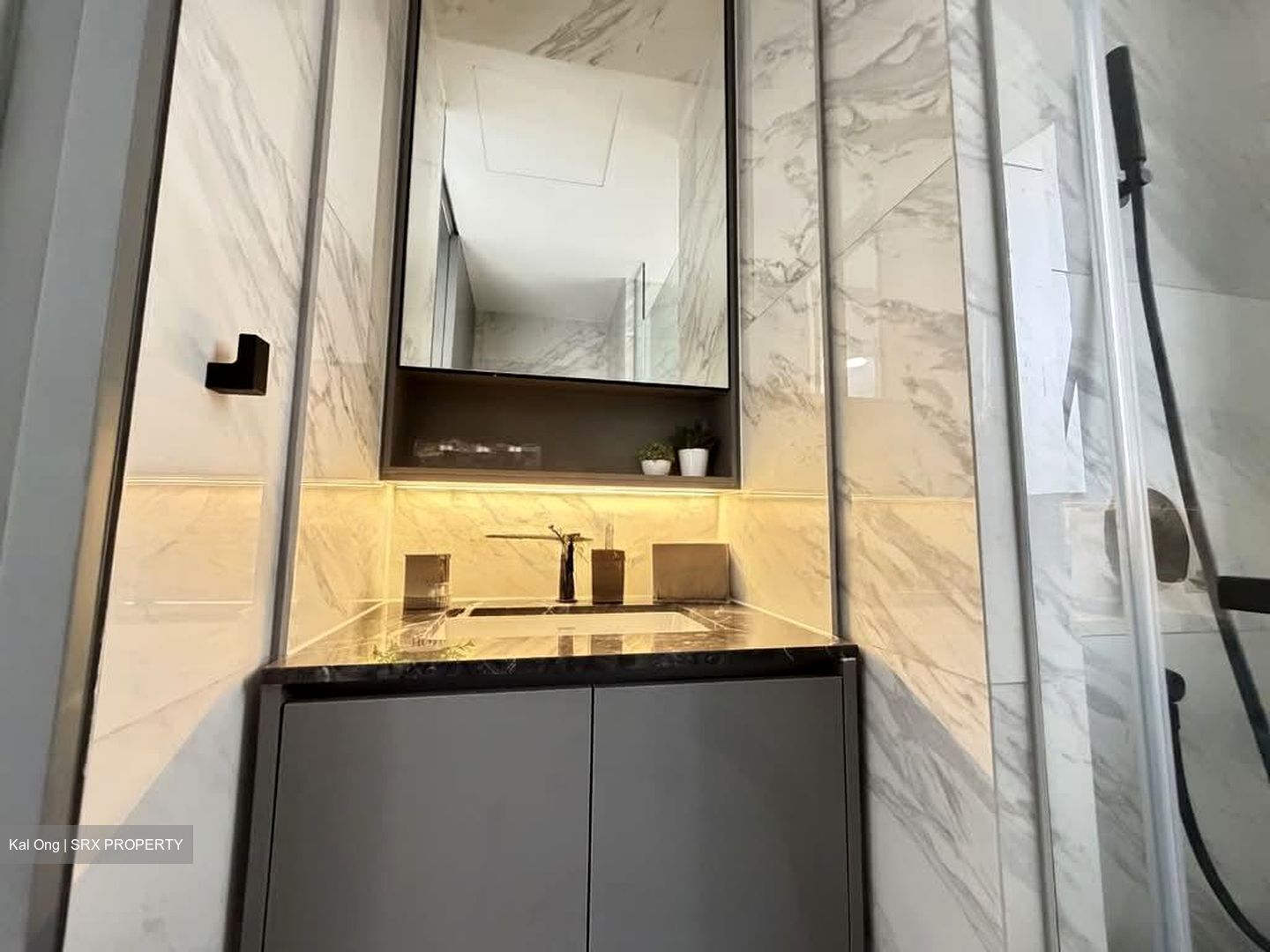 The Landmark (D3), Condominium #557909671